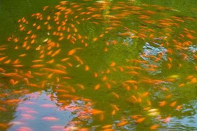 《银河战士：生存恐惧》全新实机演示 感受被追杀的紧张