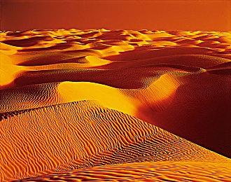 《匹诺曹的谎言》DLC“序曲”中文剧情宣传片