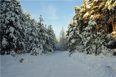 冒险解密游戏《勇者斗幺蛾》发售 支持简体中文